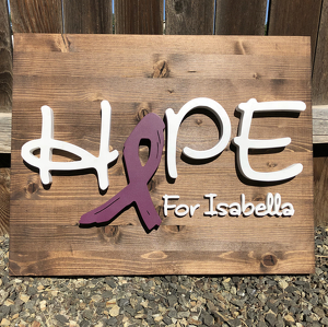 Team Page: Hope for Isabella
